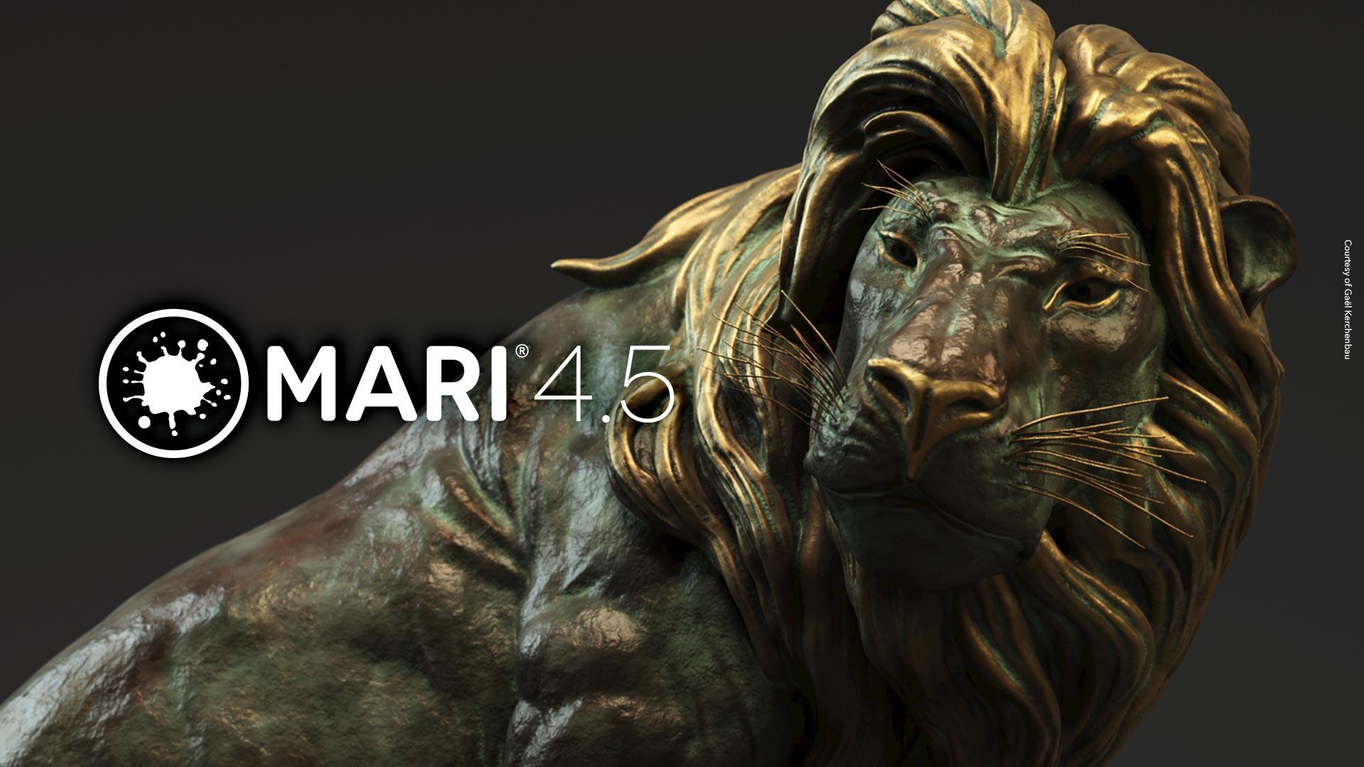 Mari Press release