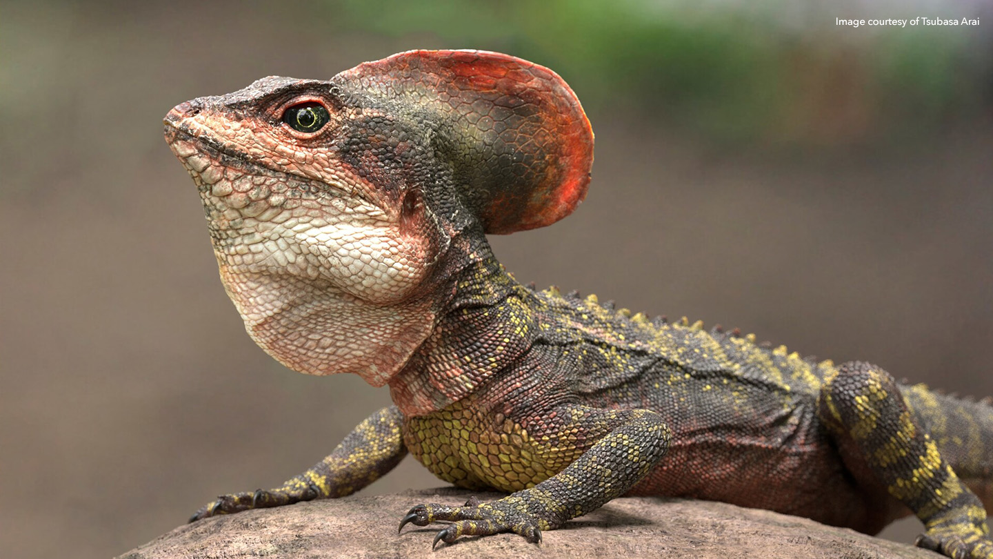 Lizard close-up, textured in Mari